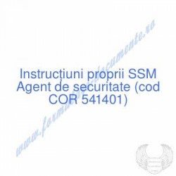 Agent de securitate (cod...