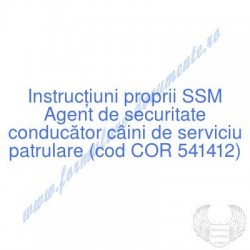 Agent de securitate...