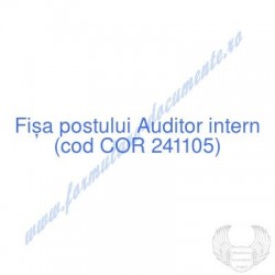 Auditor intern (cod COR...