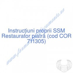 Restaurator piatră (cod COR...