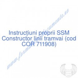 Constructor linii tramvai...