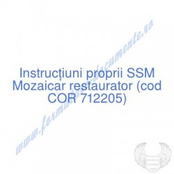 Mozaicar restaurator (cod...