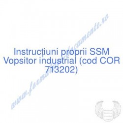 Vopsitor industrial (cod...