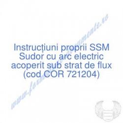 Sudor cu arc electric...