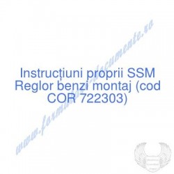 Reglor benzi montaj (cod...