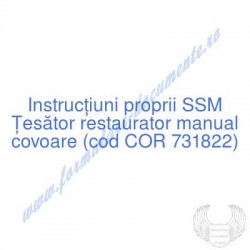 Ţesător restaurator manual...