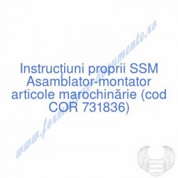 Asamblator-montator...