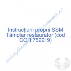 Tâmplar restaurator (cod...