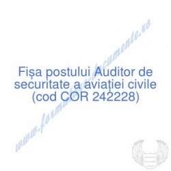 Auditor de securitate a...