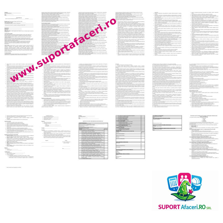 Fișa postului Director general adjunct – model editabil DOC