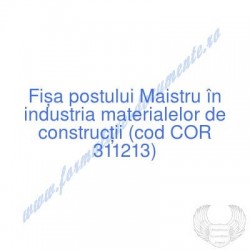 Maistru în industria...