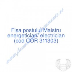 Maistru energetician,...