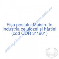 Maistru în industria...