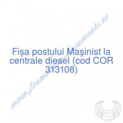 Maşinist la centrale diesel...