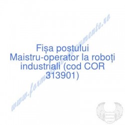 Maistru-operator la roboţi...