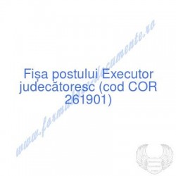 Executor judecătoresc (cod...