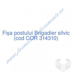 Brigadier silvic (cod COR...