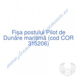 Pilot de Dunăre maritimă...