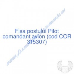 Pilot comandant avion (cod...