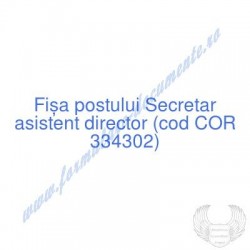 Secretar asistent director...