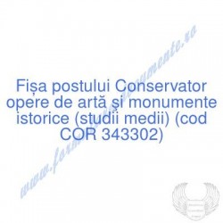 Conservator opere de artă...