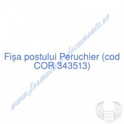 Peruchier (cod COR 343513)...