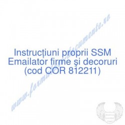 Emailator firme şi decoruri...