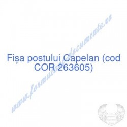 Capelan (cod COR 263605) -...