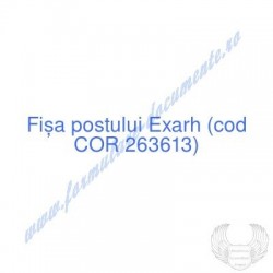 Exarh (cod COR 263613) -...