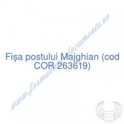 Majghian (cod COR 263619) -...