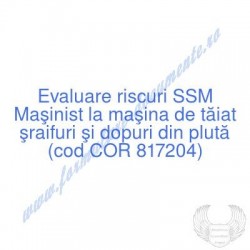 Maşinist la maşina de tăiat...