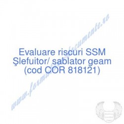 Şlefuitor/ sablator geam...