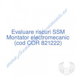 Montator electromecanic...