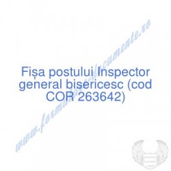 Inspector general...