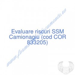 Camionagiu (cod COR 833205)...