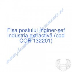 Inginer-şef industria...