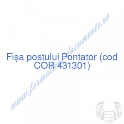 Pontator (cod COR 431301) -...