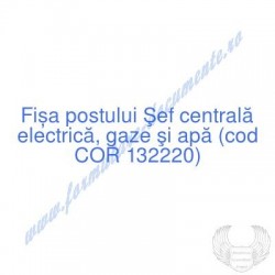 Şef centrală electrică,...