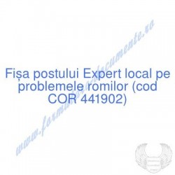 Expert local pe problemele...