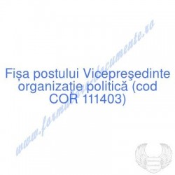 Vicepreşedinte organizaţie...