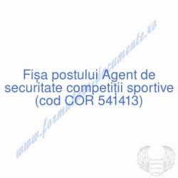 Agent de securitate...