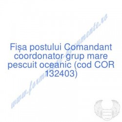 Comandant coordonator grup...