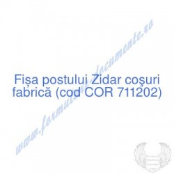 Zidar coşuri fabrică (cod...