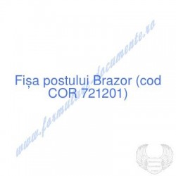 Brazor (cod COR 721201) -...