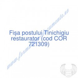 Tinichigiu restaurator (cod...