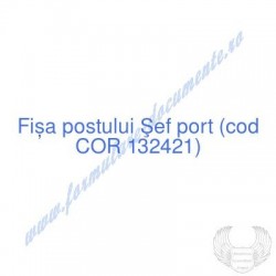 Şef port (cod COR 132421) -...