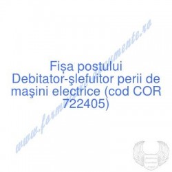 Debitator-şlefuitor perii...