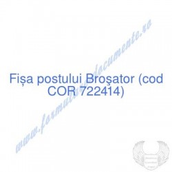 Broşator (cod COR 722414) -...