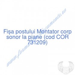 Montator corp sonor la...