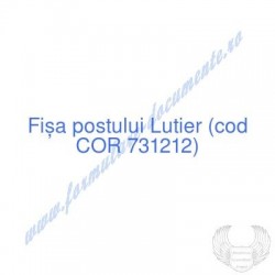 Lutier (cod COR 731212) -...